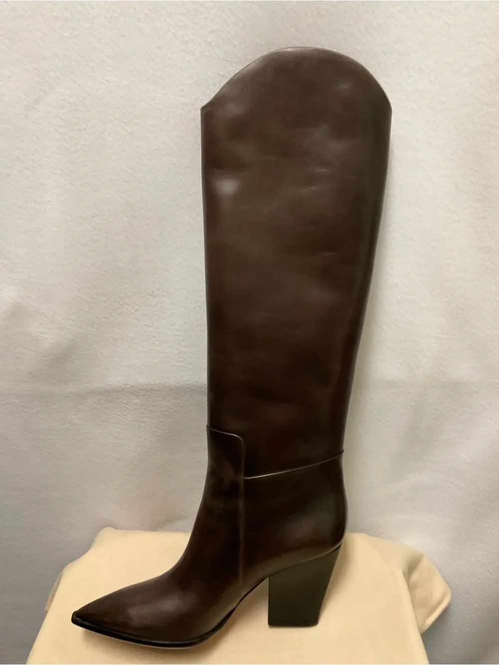 Santoni Tall Pointed-Toe Over-the-Knee Leather Boots in Dark Brown